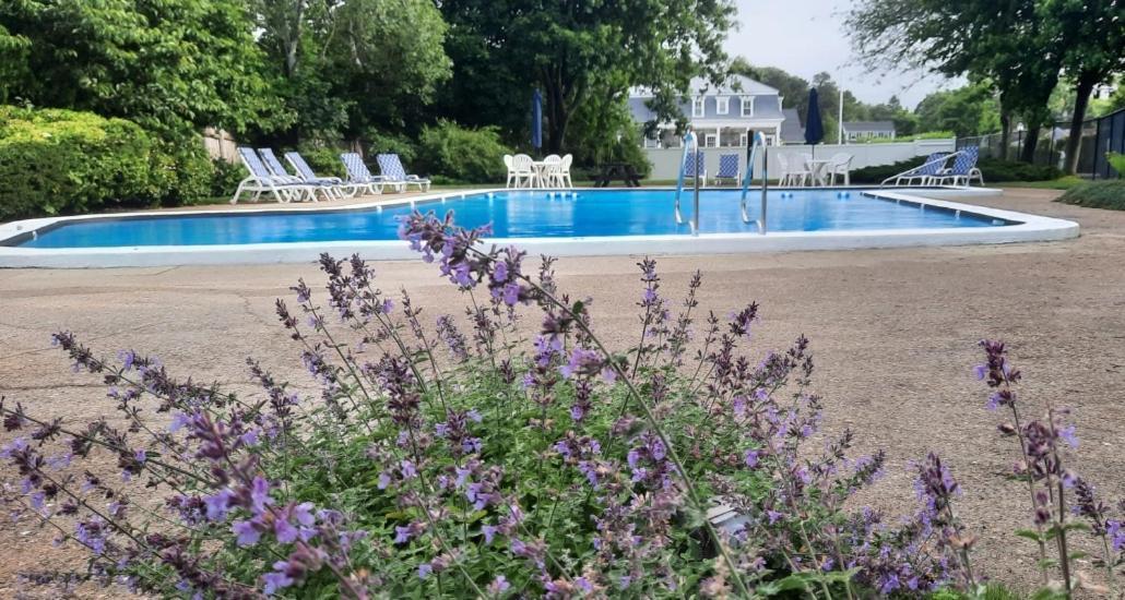 Harwichport Resort Club ميناء هارويتش المظهر الخارجي الصورة